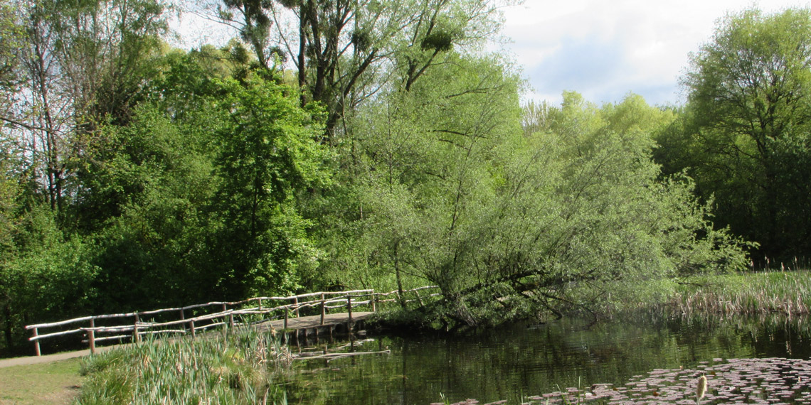 2019_04_AubingerLohe_Featured